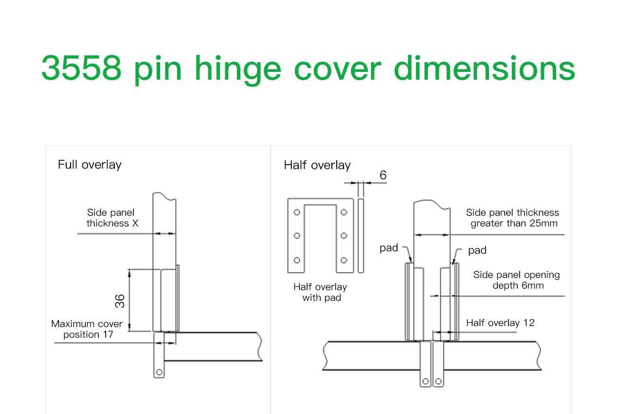 Z6 Pin Hinge